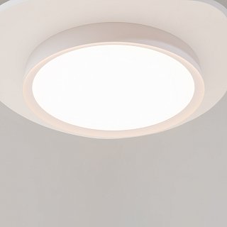 Потолочный светильник Incognito 2700-4000K 35Вт