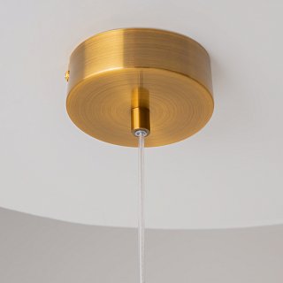 Подвесной светильник Biology 3000К 3Вт