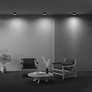 Потолочный светильник Zon 3000K 12W 120°