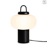 Настольный светильник Freya FR6175TL-L10B