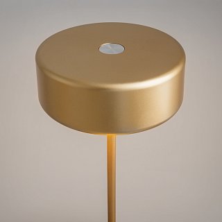 Аккумуляторный светильник AI Collaboration 2200-4000К 3Вт