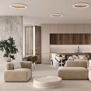 Потолочный светильник Rim 2600-3500К 35Вт