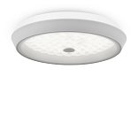 Потолочный светильник Freya FR10012CL-L24W