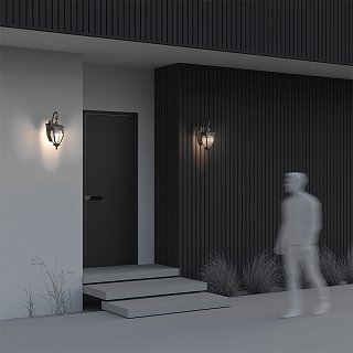 Настенный светильник (бра) Fleur E27х1 60Вт IP 44