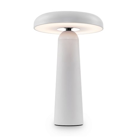 Аккумуляторный светильник Гриб / Mushroom