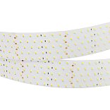 Светодиодная лента RT 2-2500 24V Day4000 5x2 (2835, 875 LED, CRI98) (Arlight, 36 Вт/м, IP20)