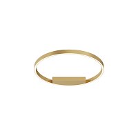 Потолочный светильник Rim 2600-3500К 35Вт