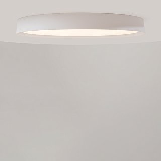 Потолочный светильник Incognito 2700-4000K 46Вт