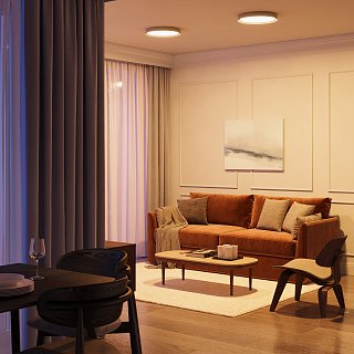 Потолочный светильник Incognito 2700-4000K 35Вт