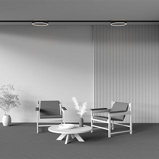 Трековый светильник Rim Exility 4000K 24Вт 120°