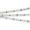 Светодиодная лента RS 2-5000 24V White6000 2x (3014, 120 LED/m, LUX) (Arlight, 9.6 Вт/м, IP20)