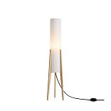 Напольный светильник (торшер) Freya FR5543FL-01T