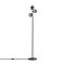 Напольный светильник (торшер) Freya FR5435FL-03B