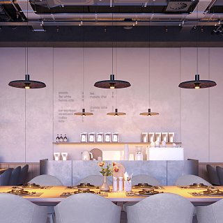 Светильник SP-KOTARO-R450-12W Warm2700 (BG-BG, 36 deg, 230V, TRIAC) (Arlight, IP20)