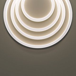 Гибкий неон 12x12 24В 12Вт/м 4000K IP67 5м